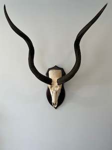 Kudu Euro Mount