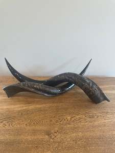 Bones: Polished Kudu Horns