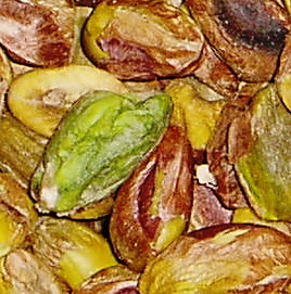 Products: – Page 7 – The Nut