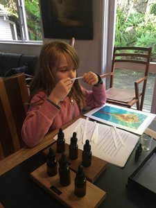 Products: Childrens Scent Workshops - The Olfactory
