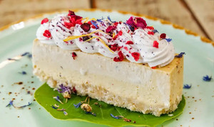 Products: Vegan Mango Passionfruit Slice The Orchard Juicery