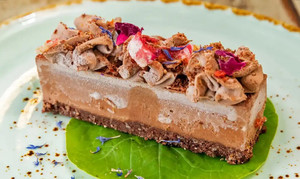 Products: Vegan Orange Choclate Slice The Orchard Juicery