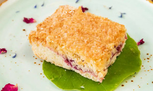 Products: Coconut Cranberry Slice The Orchard Juicery