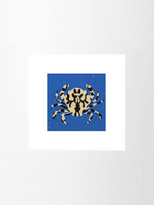 New Arrivals: Calico Crab