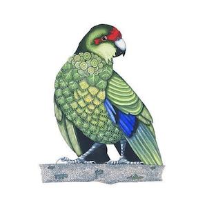 New Zealand Prints: Kakariki Print