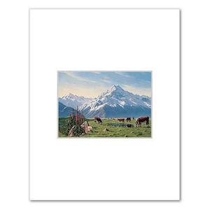 Foxgloves Mt Cook NZ Print 28 x 35 cm