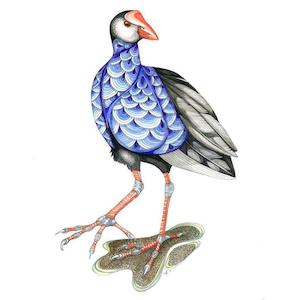 New Zealand Prints: Pukeko Print