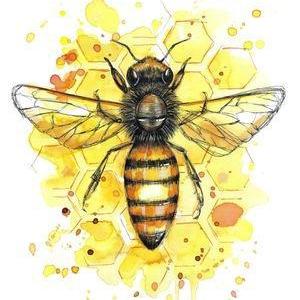 New Zealand Prints: Honey Bee Print