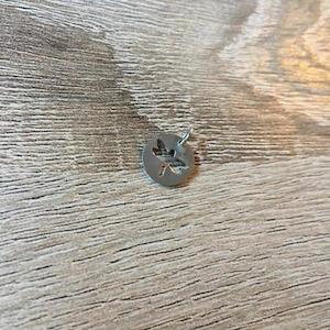 Dragonfly Silver Charm