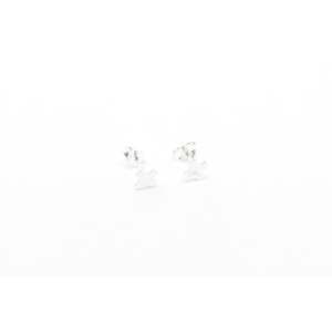 Silver Earrings 1: Kea Silver Studs