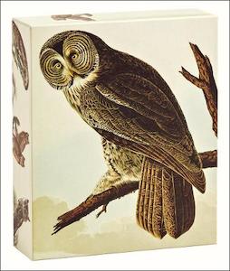 Notecards: Audubon Owls 20 Notecards with Envelopes