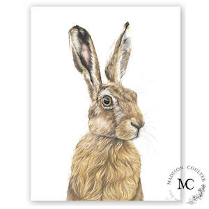 Madison Coulter Fine Arts: Hare Print by Madison Coulter A4