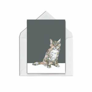 Everyday Cards Blank Inside: Scaredy Cat