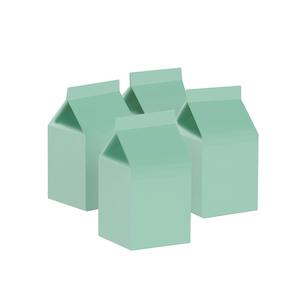 Pastel Mint Green Milk Boxes 10pk