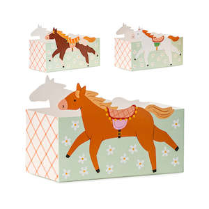 Horse Snack Boxes 3pk