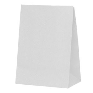 White Paper Party Favour Bag 10pk