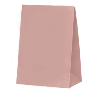 Rose Paper Party Favour Bag 10pk