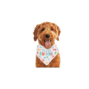 Dog: Pawty Animal Dog Bandana