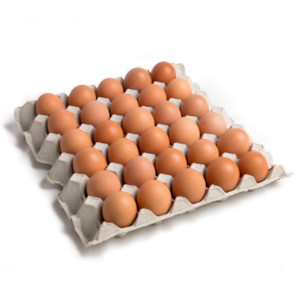 Tray (30) Eggs - Mixed Grade - Pasture Poultry Organic Free Range Eggs