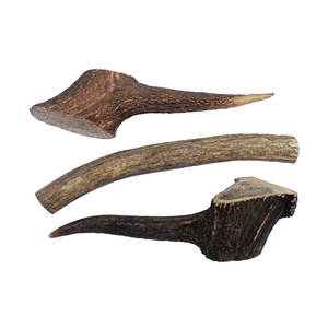 Bones: Deer Antler - Medium Dog Chew