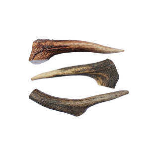 Deer Antler - Small Dog Chew