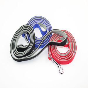 Training Accessories: Nylon Dog Leash With Soft Padding 15mm