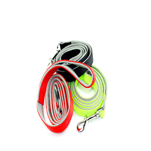 Nylon Dog Leash With Soft Padding 20mm