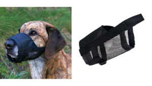 Training Accessories: Trixie Nylon Muzzle