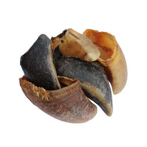 Our Top Picks: Beef Hooves