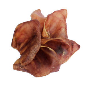 Our Top Picks: Pigs Ears Dog Chews