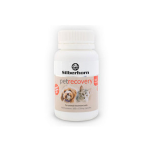 Silberhorn Pet Recovery® – Advanced Joint & Tissue Support (100 Capsules)