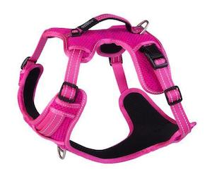 Rogz Explore Harness Special: Rogz Explore Harness Pink Lge