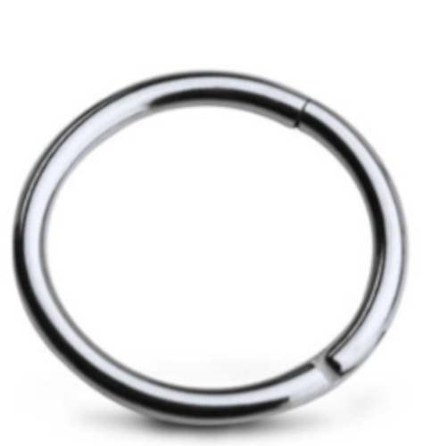 Nose: Titanium Hinged Segment Clicker