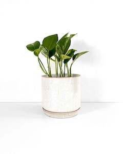 ceramic: Sand Medium Planter