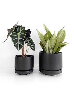 ceramic: Black Indoor Plant Pot