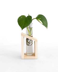 Propagation Stations: Singular Propagation Station