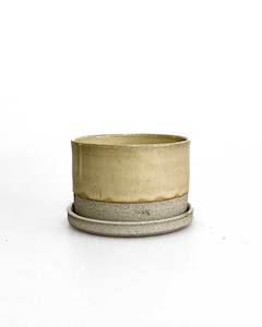 Plant Pots: Cream Ceramic Plant Pot