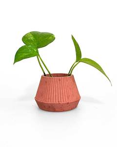 Plant Pots: Mini Concrete Planter Red