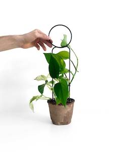 Accessories: Trellis Loop