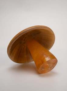 Lorraine Natusch: Brown Mushroom - Medium
