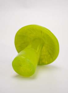 Lorraine Natusch: Lime Mushroom - Small