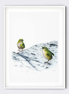 Olivia Wirepa: Mother Rockwren Scolding Offspring - Giclée Print