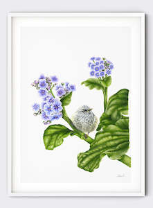 Olivia Wirepa: Rifleman on Chatham Island Lily - Giclée Print