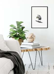 Olivia Wirepa: Rock Wren w/ Binoculars - Giclée Print