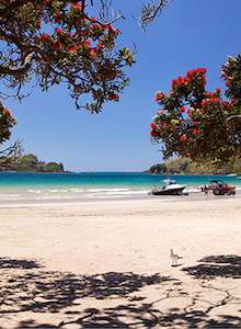 Holidays: Holiday Dreams - Photographic Print