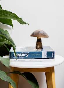 Brown Mushroom - Medium