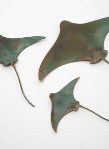 Stingray - Set of 3 #6