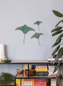 Stingray - Set of 3 #1