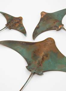 Stingray - Set of 3 #2