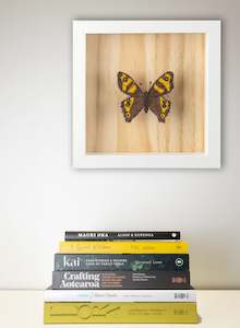 The Special Gift: NZ Forest Ringlet Butterfly - 3D Embroidery